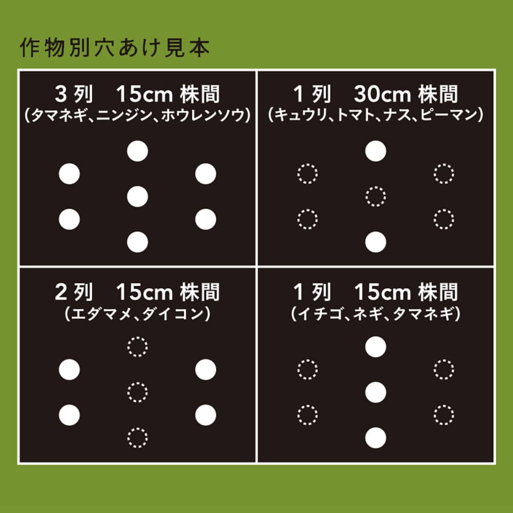 穴あけ簡単菜園マルチ 黒 0 02 95 10m 0 02 95 10m 農業資材 薬品ホームセンター通販のカインズ