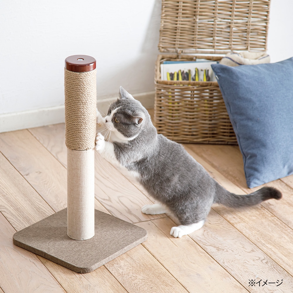 キャットインテリア爪とぎポール ペット用品 犬 猫 小動物 ホームセンター通販のカインズ