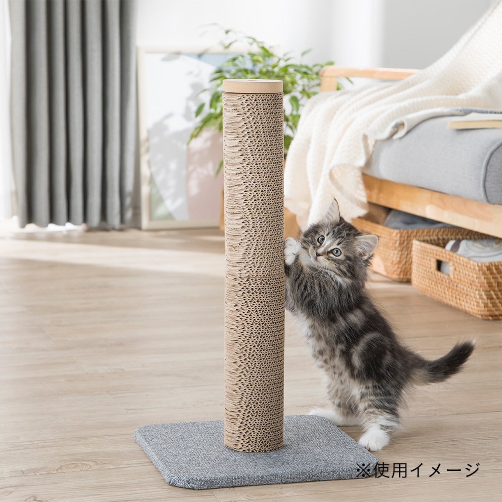 タワースタイルスクラッチャー 本体 ペット用品 犬 猫 小動物 ホームセンター通販のカインズ