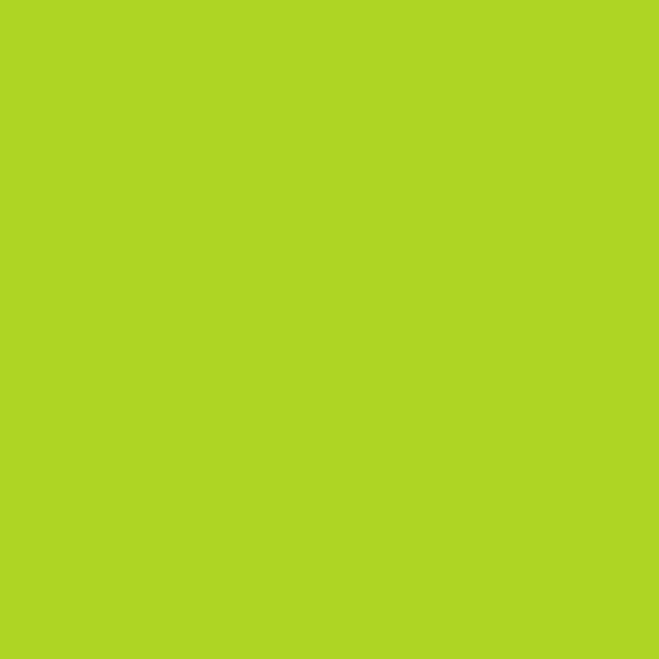 ニッペ 多用途塗料 水性フレッシュワイド 0.2L アップルグリーン(0.2L ｱｯﾌﾟﾙｸﾞﾘｰﾝ): 塗料（ペンキ）・塗装用品ホーム