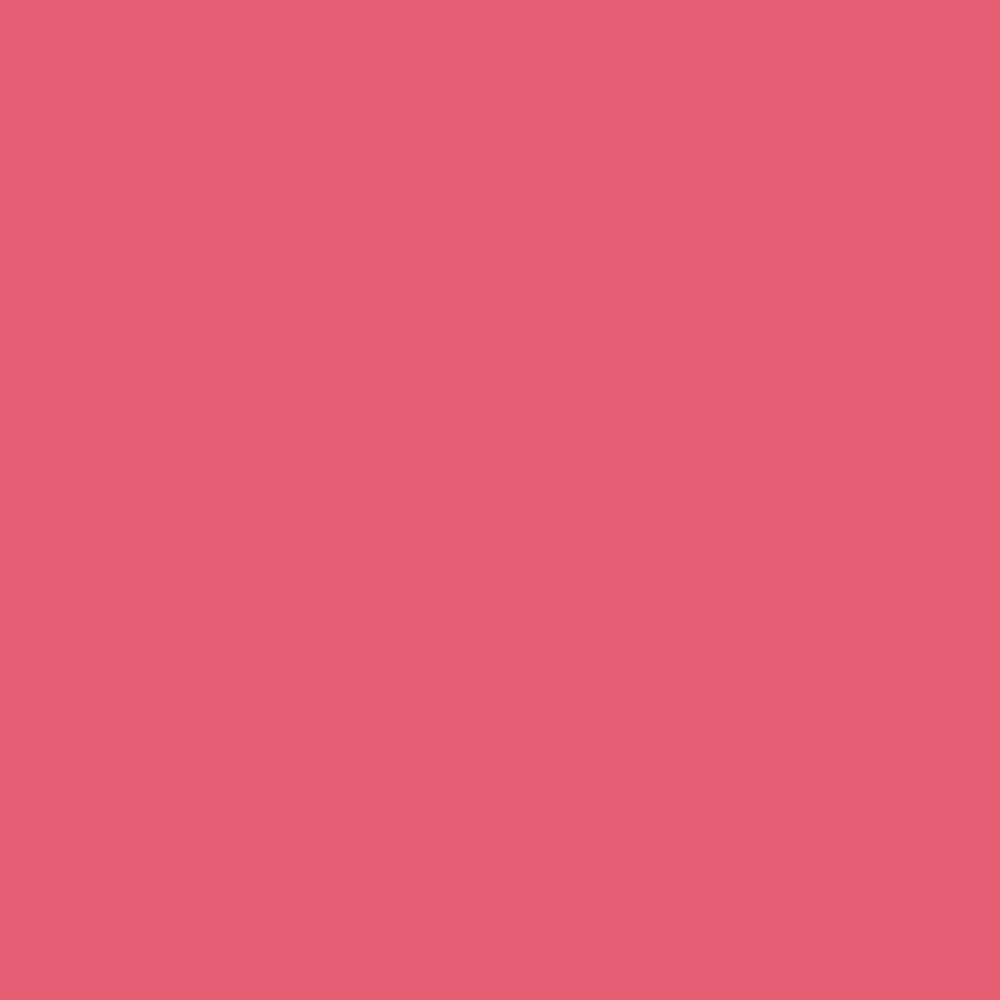 Cainz 室内用塗料 ホワイティカラーズ ミニ 5g ベリーピンク 5g ベリーピンク 塗料 ペンキ 塗装用品ホームセンター通販のカインズ