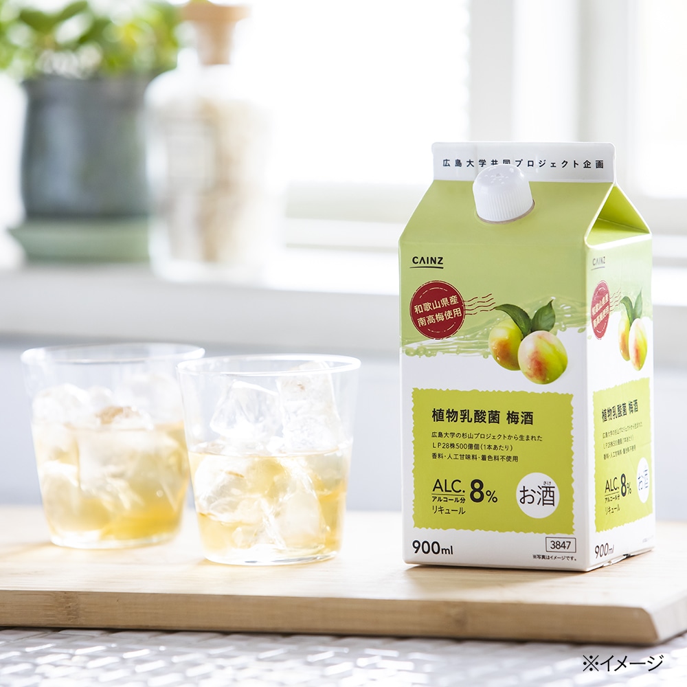 植物乳酸菌 梅酒 900ml 別送品 酒 リカーホームセンター通販のカインズ