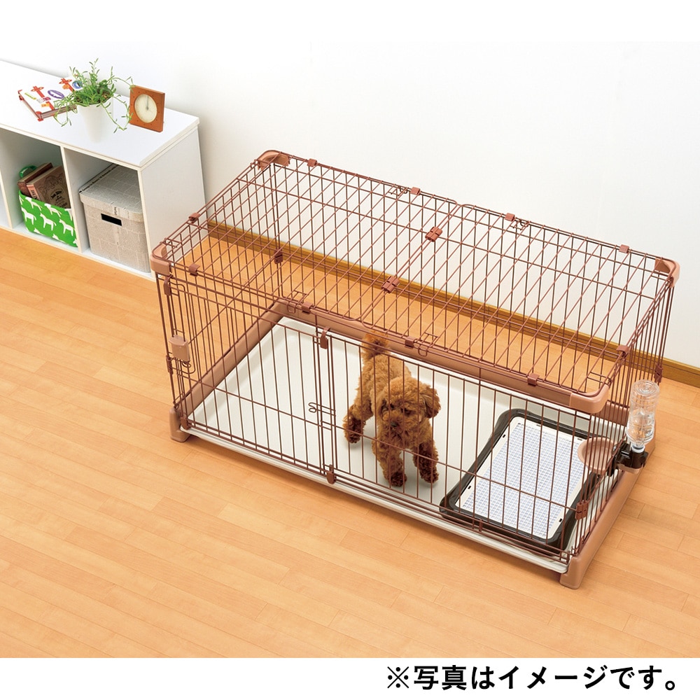 師匠 鳴らす コンパス 犬 サークル 1 D1sogo Blog Jp