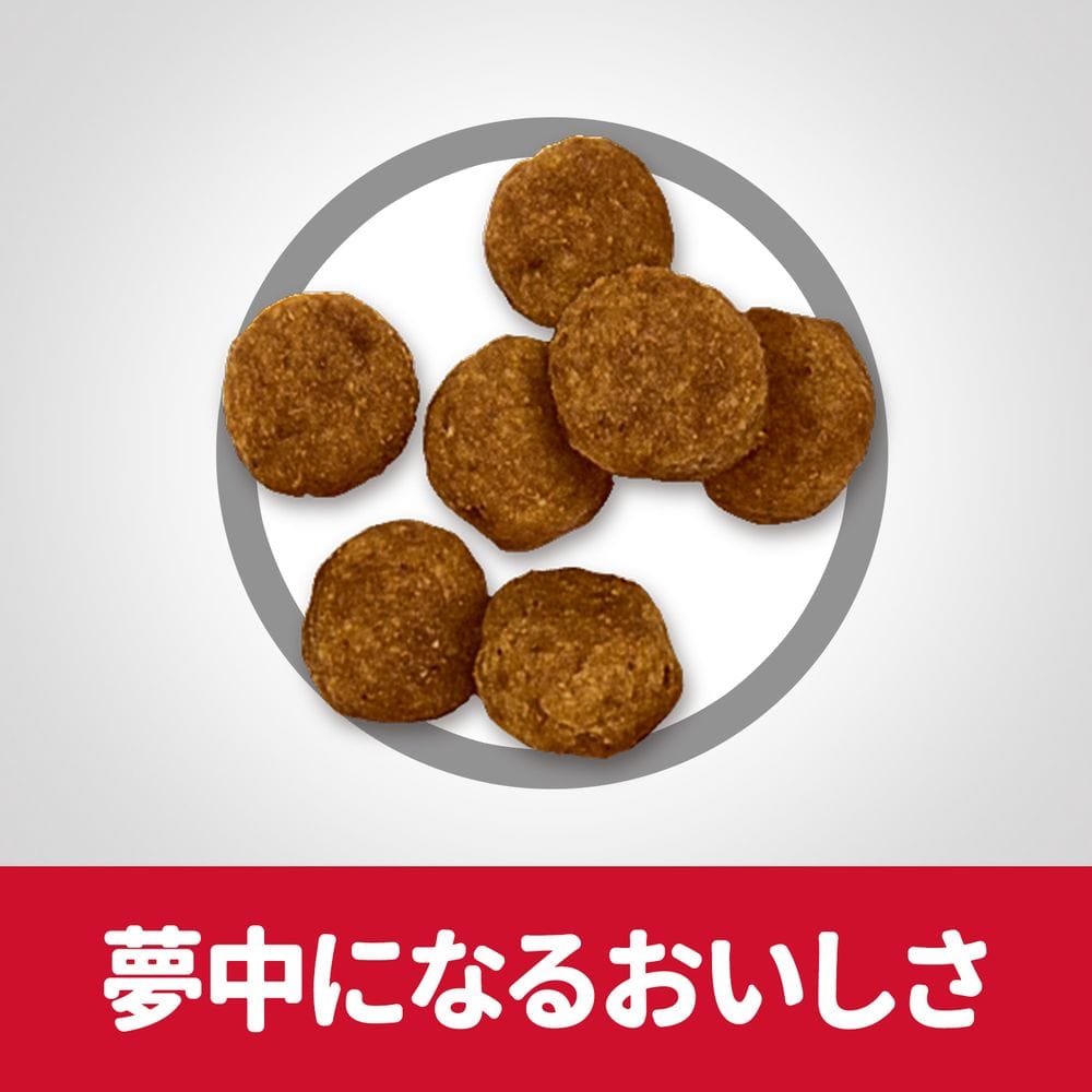 サイエンス ダイエット アダルト 成犬用 小粒 6 5kg 6 5kg ｱﾀﾞﾙﾄ 小粒 ペット用品 犬 猫 小動物 ホームセンター通販のカインズ