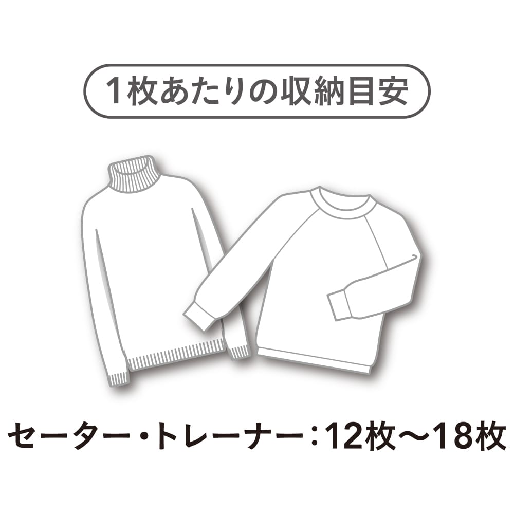 たて よこ 使える衣類収納袋 スリム スリム 収納用品 収納家具ホームセンター通販のカインズ