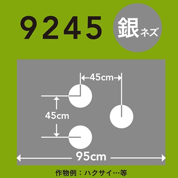 ホールマルチ 銀ネズ 9245 0m 60f 9245 0m 60f 銀ネズ 農業資材 薬品ホームセンター通販のカインズ