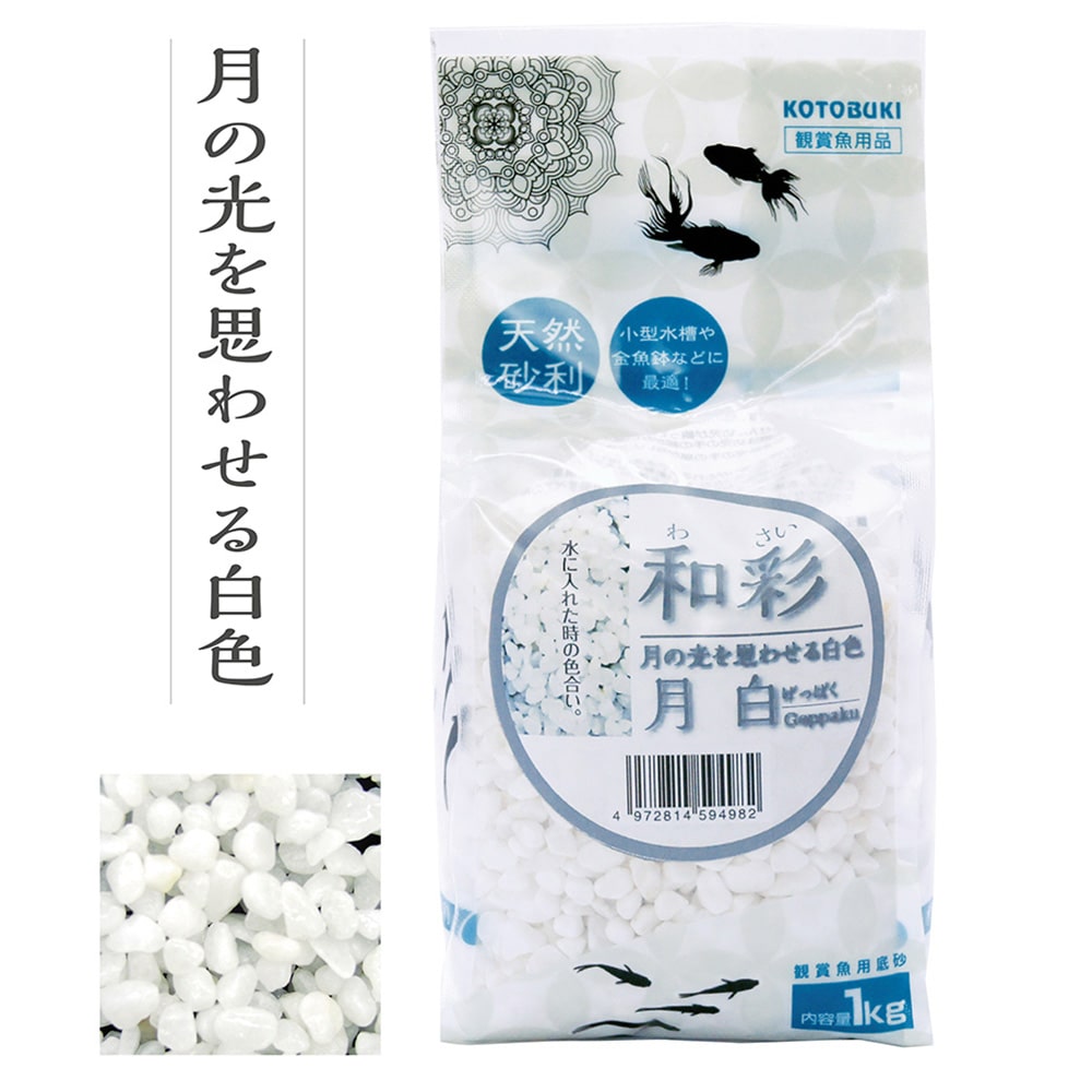 コトブキ 観賞魚用底石 和彩 月白 1kg 月白 ペット用品 犬 猫 小動物 ホームセンター通販のカインズ