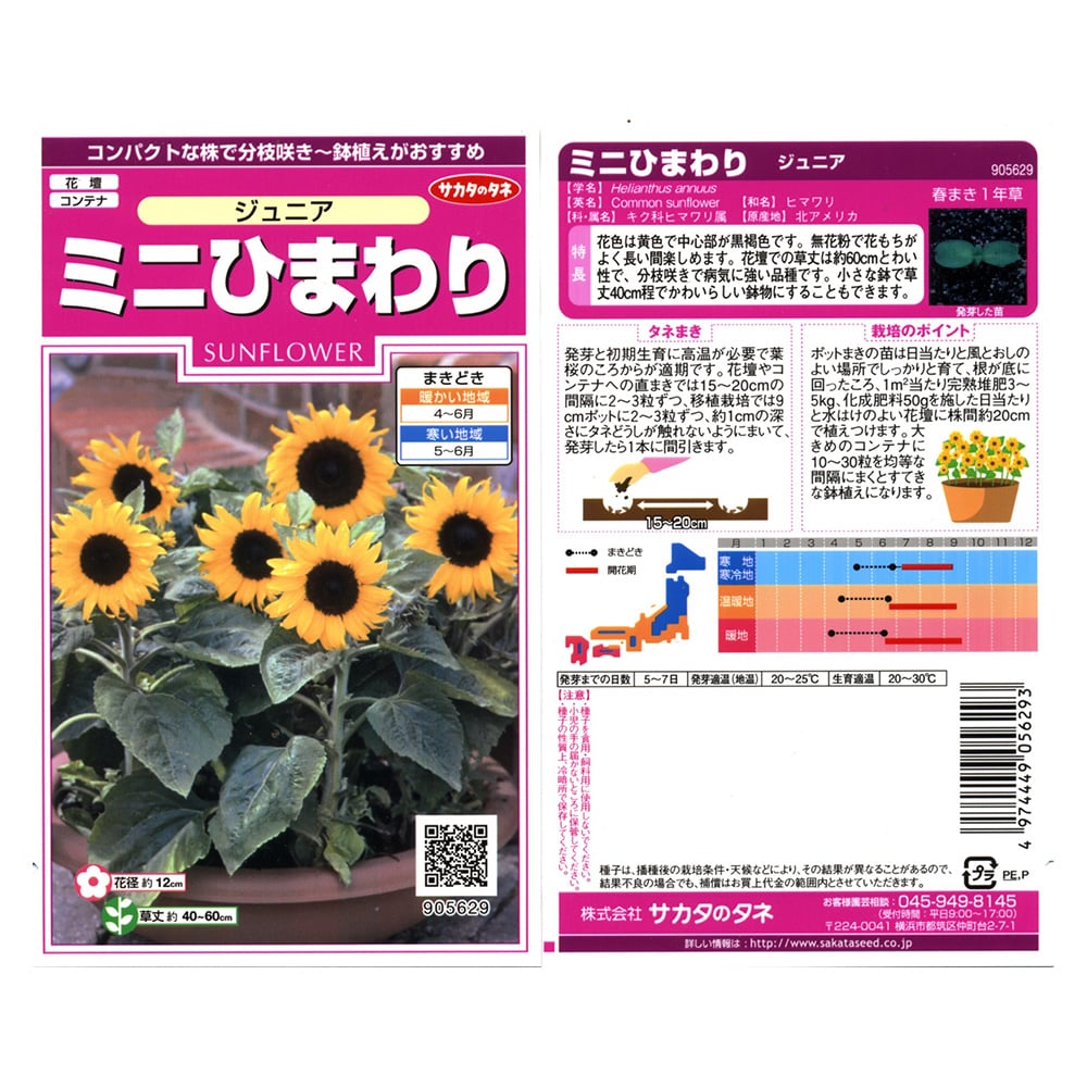 花の種 ミニひまわり ジュニア 花 グリーンホームセンター通販のカインズ