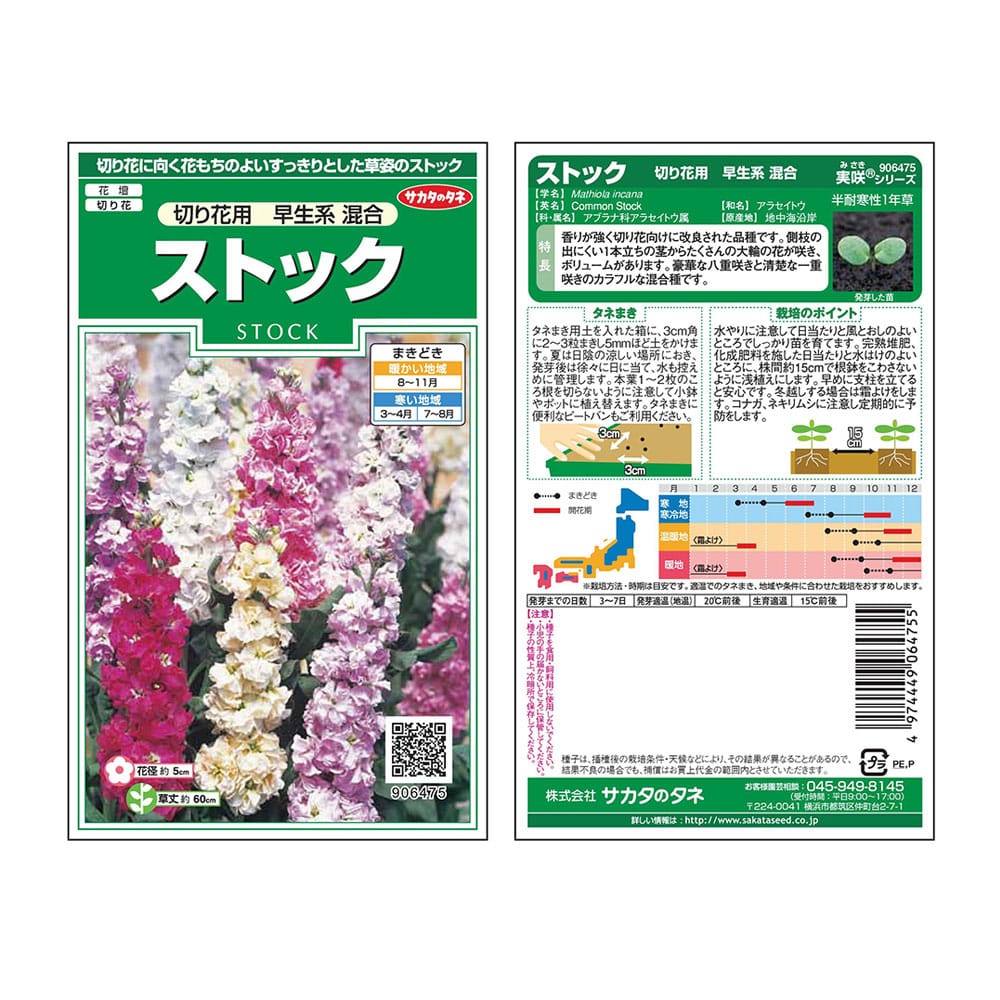 サカタのタネ ストック切り花用早生系混合 花 グリーンホームセンター通販のカインズ