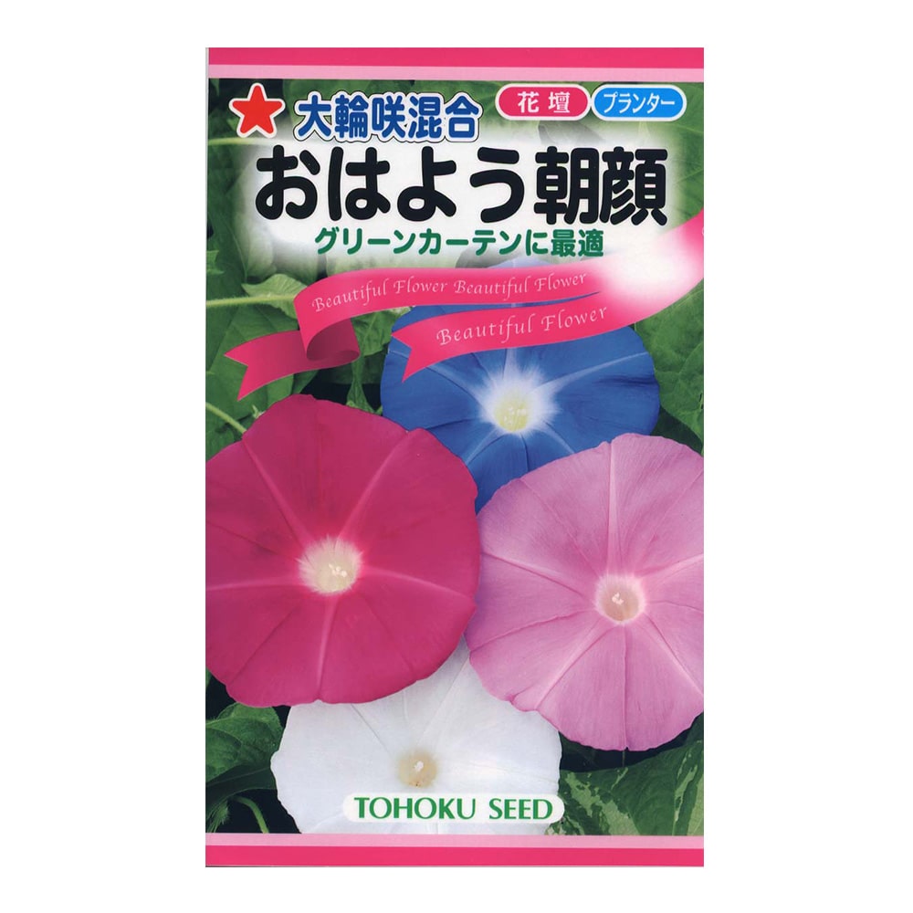 トーホク 大輪咲混合 おはよう朝顔 花 グリーンホームセンター通販のカインズ