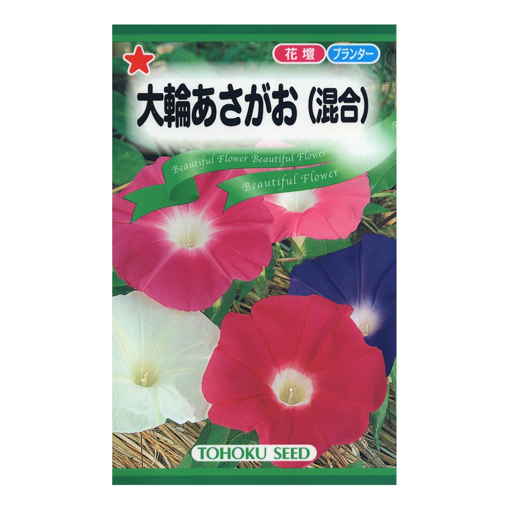 数量限定 トーホク 大輪あさがお 混合 花 グリーンホームセンター通販のカインズ