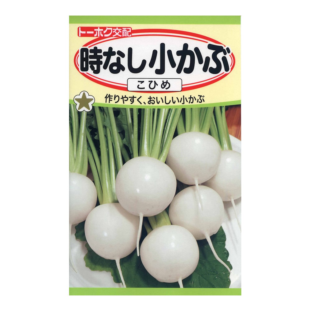 トーホク F1 時なし小かぶ こひめ 花 グリーンホームセンター通販のカインズ