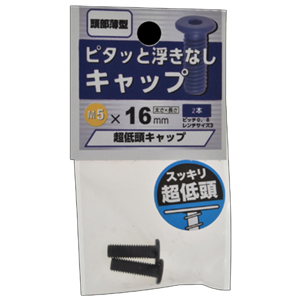 ケース販売用単品jan 超低頭六角穴付ボルト 5 16 ねじ くぎ 針金 建築金物ホームセンター通販のカインズ