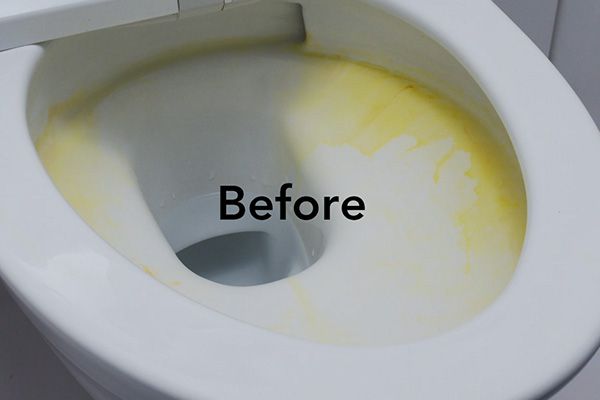 尿石 黄ばみ 黒すじ洗剤 トイレのガンコ汚れ落とし 160g 日用品 生活用品 洗剤ホームセンター通販のカインズ